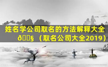 姓名学公司取名的方法解释大全 🐧 （取名公司大全2019）